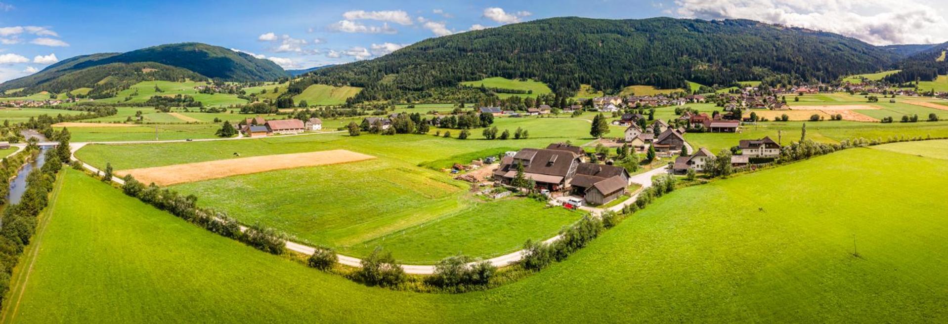 Meissnitzerhof Apartament
